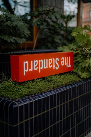 Red 'The Standard' sign amidst greenery.